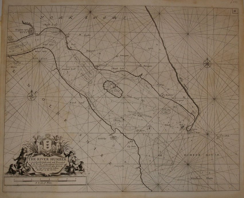 Humber Estuary