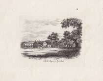 Hyde Park