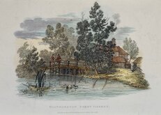 Walthamstow Ferry Fishery