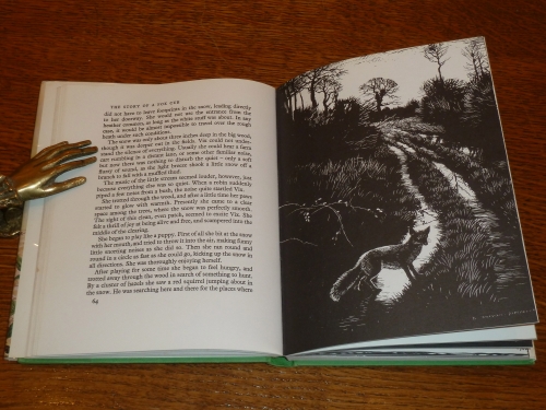 More Stories Of The Wild