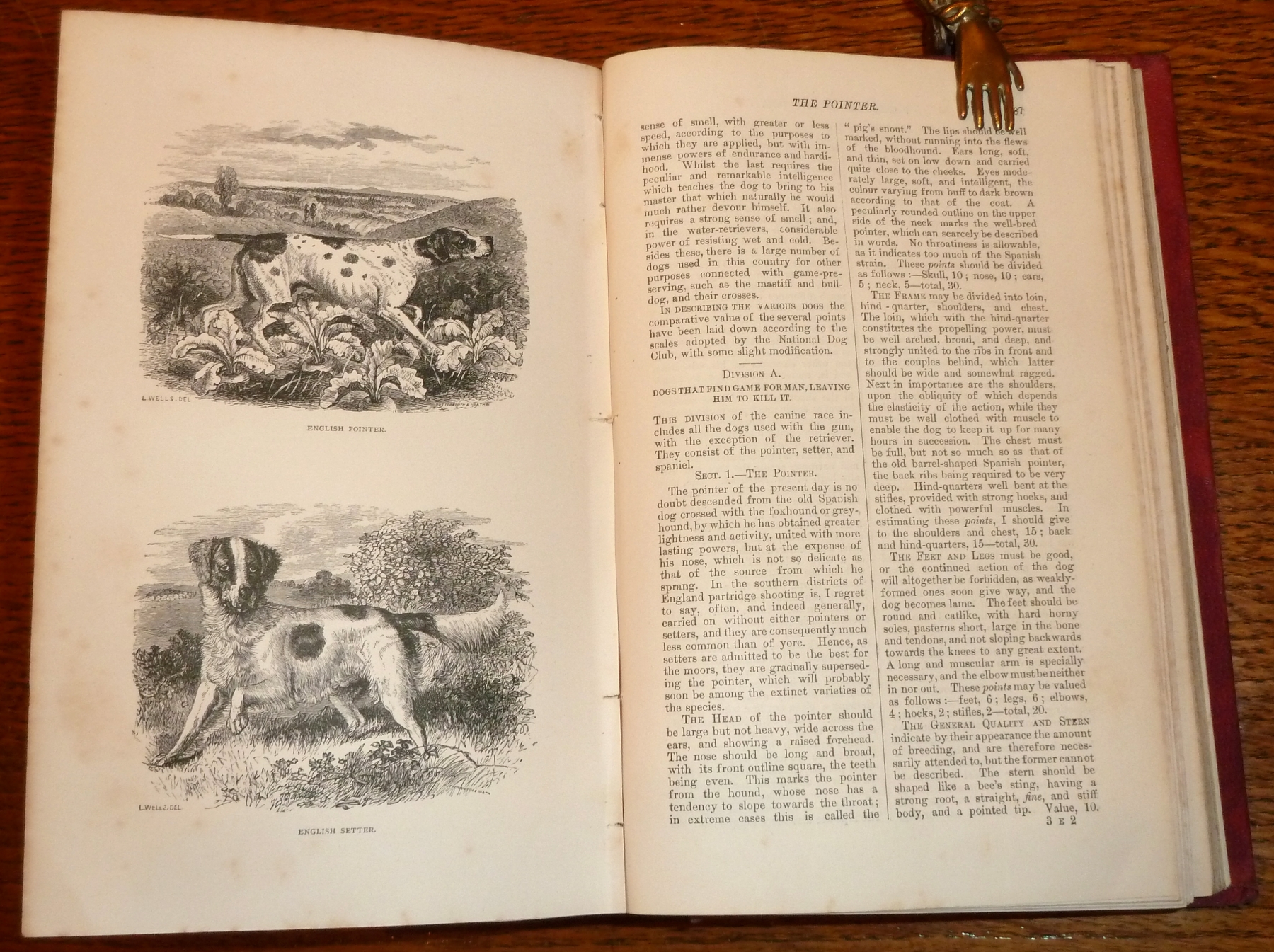 British Rural Sports by John Henry Walsh