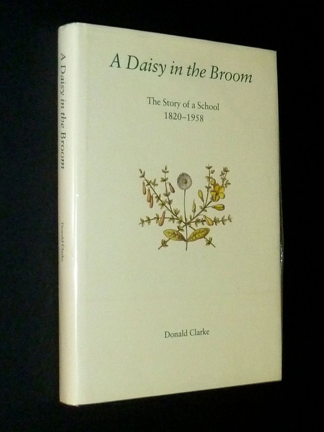 A Daisy in the Broom
