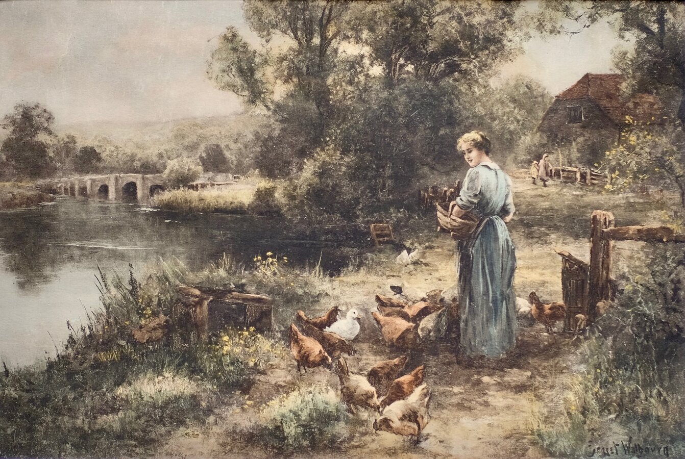 Feeding Time