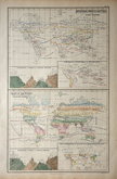 World Flora & Fauna Charts.