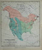 North America. Mammals.