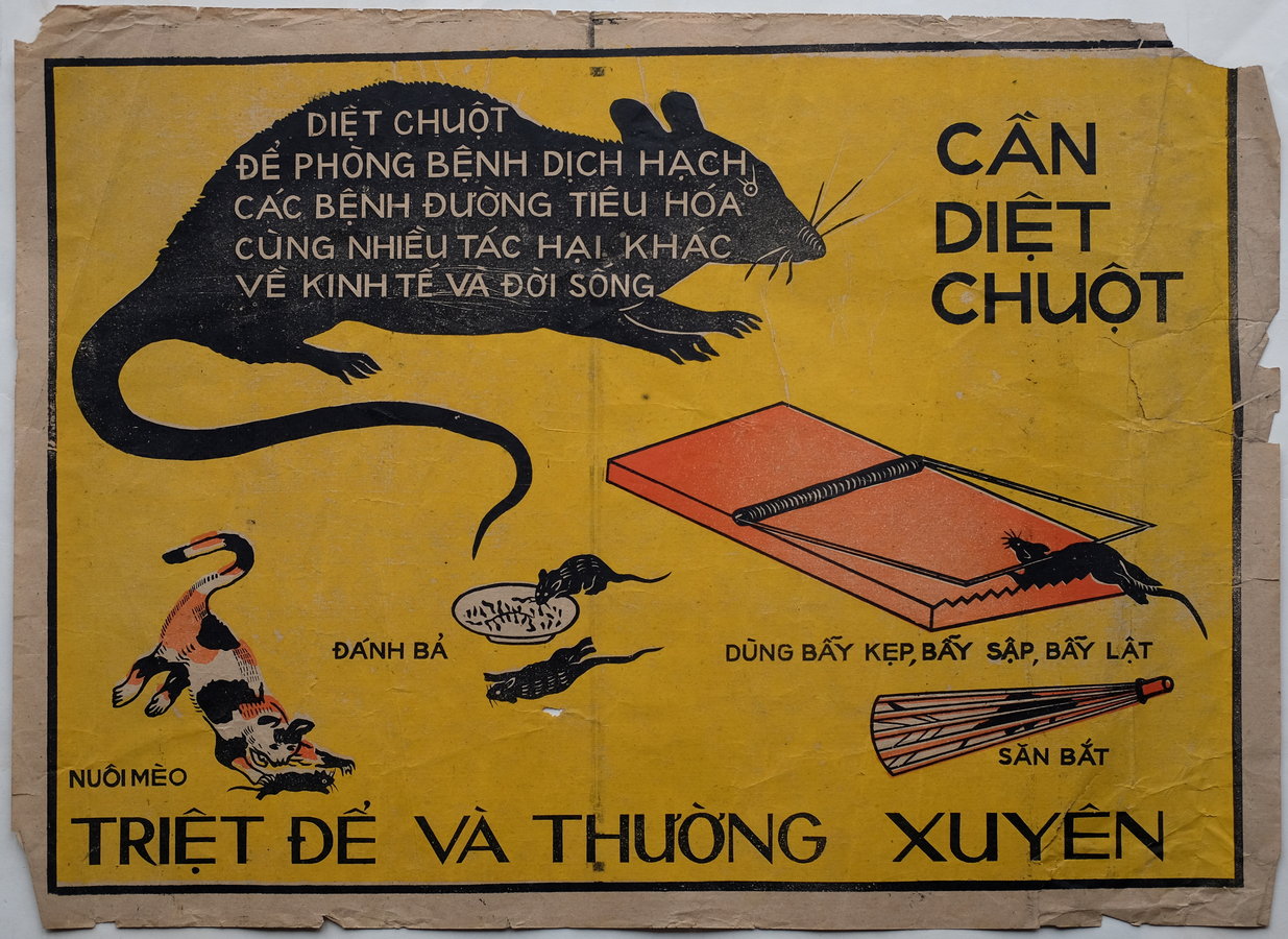 Vietnamese Rodent Poster