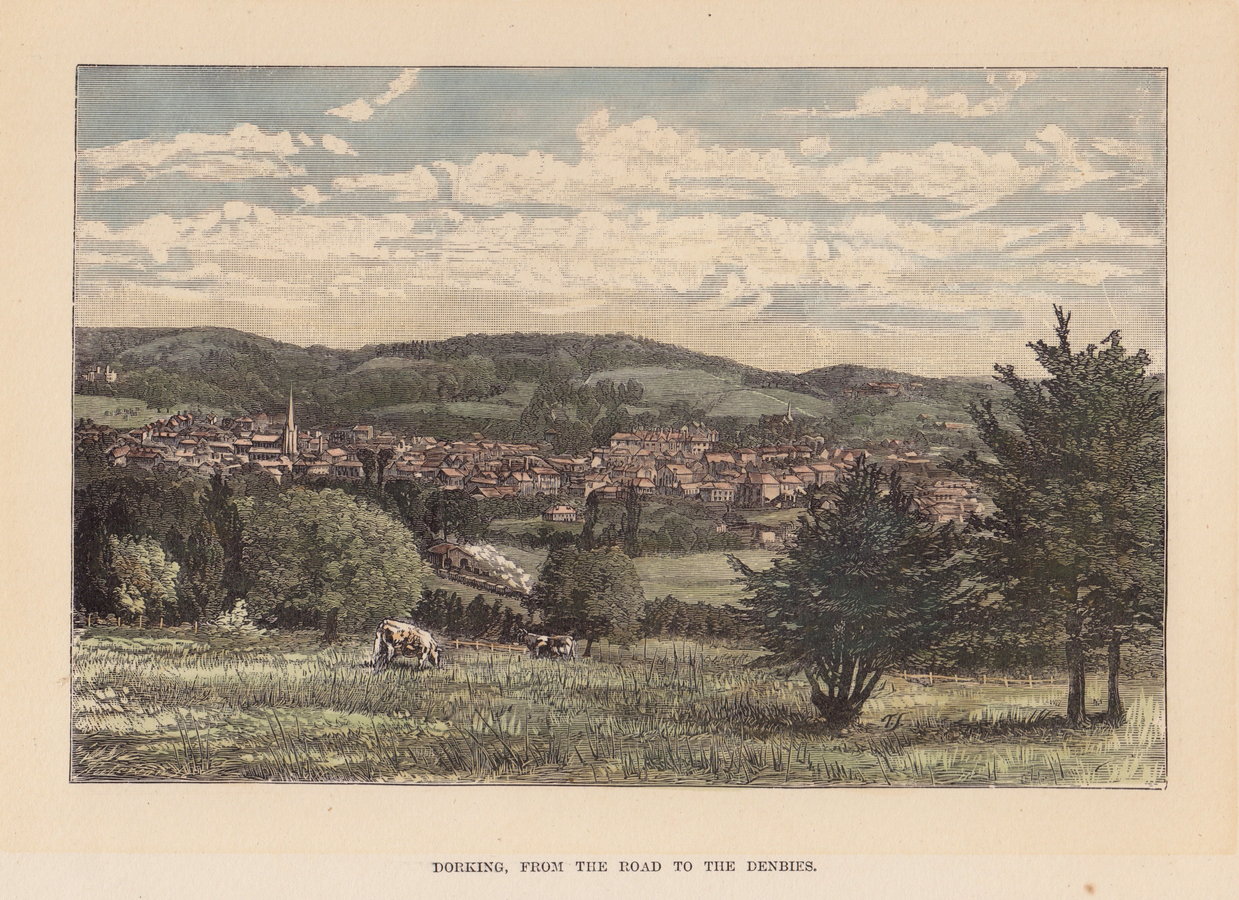 Dorking from Denbies