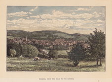 Dorking from Denbies