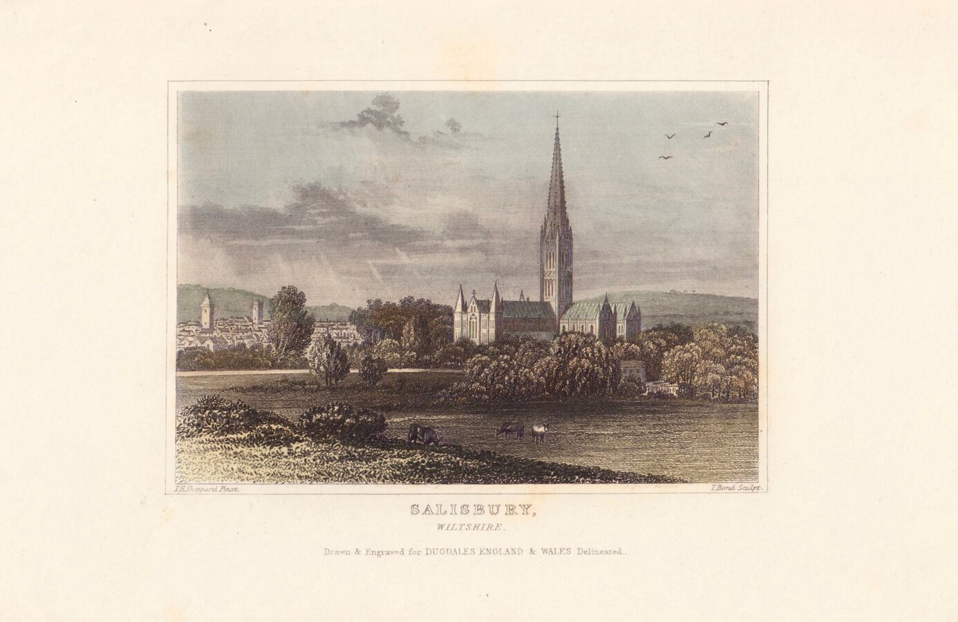 Salisbury