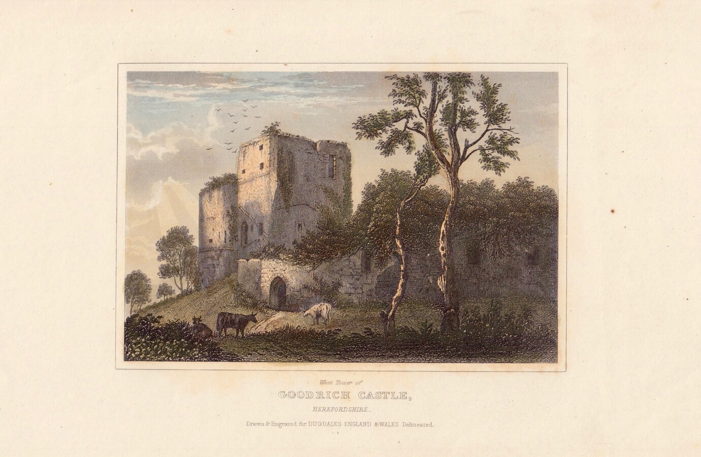 Goodrich Caste