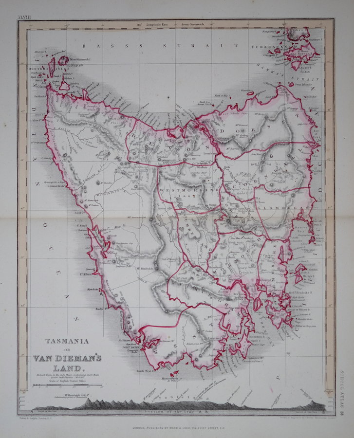 Tasmania by Petermann