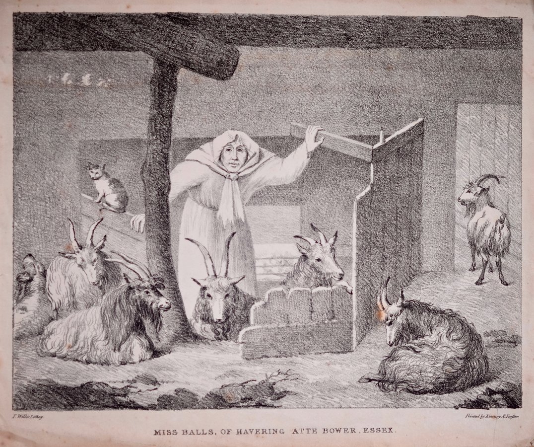 Miss Balls, Goat Woman