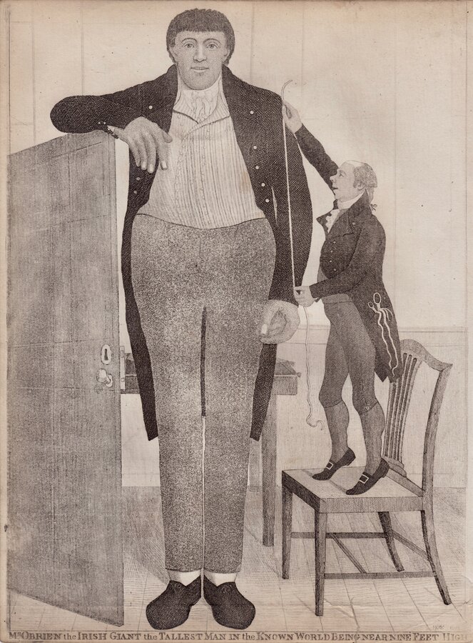 Irish Giant