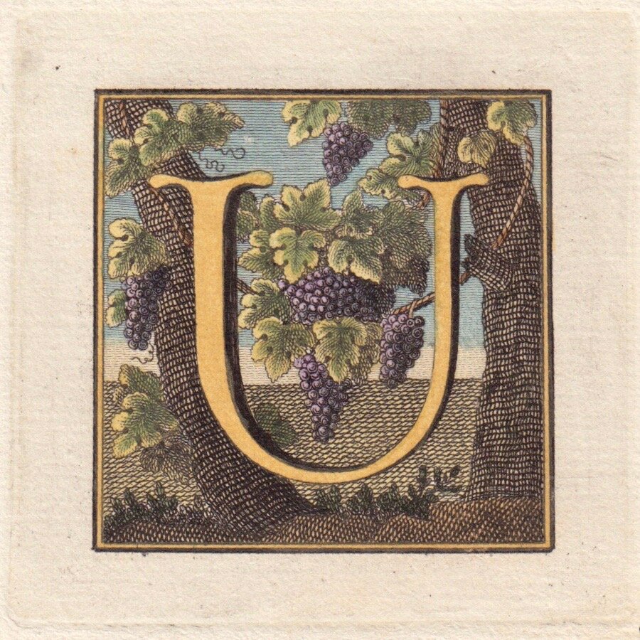 Letter U