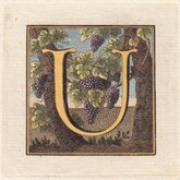 Letter U