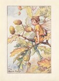 Acorn Fairy