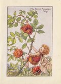 Robins Pincushion Fairy