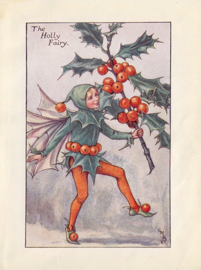 Holly Fairy