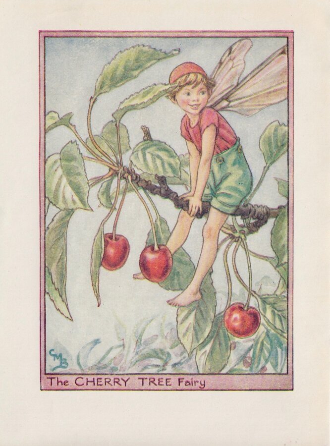 Cherry Tree Fairy