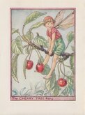Cherry Tree Fairy