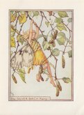 Silver Birch Fairy