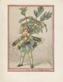 Box Tree Fairy
