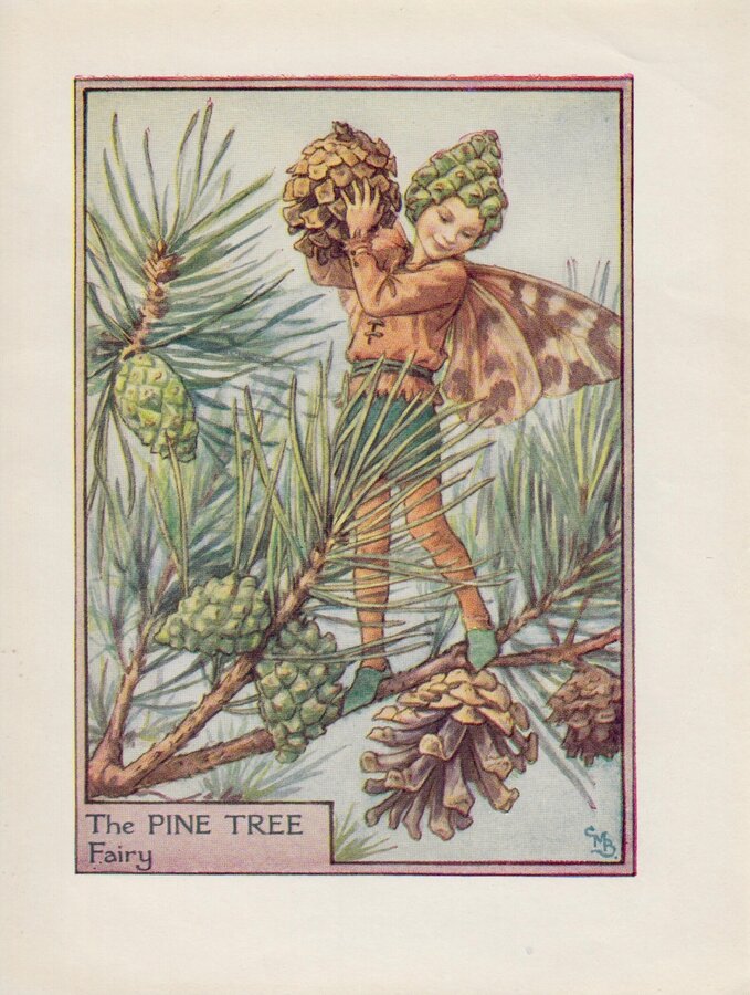 Pine Tree Fairy