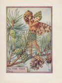 Pine Tree Fairy