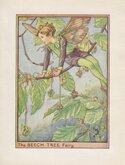 Beech Tree Fairy