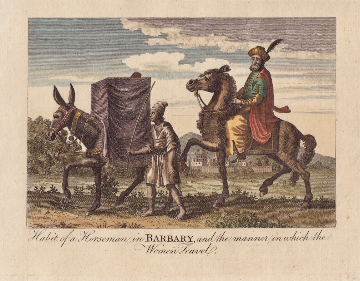Barbary Horseman