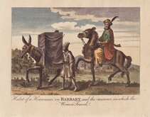Barbary Horseman