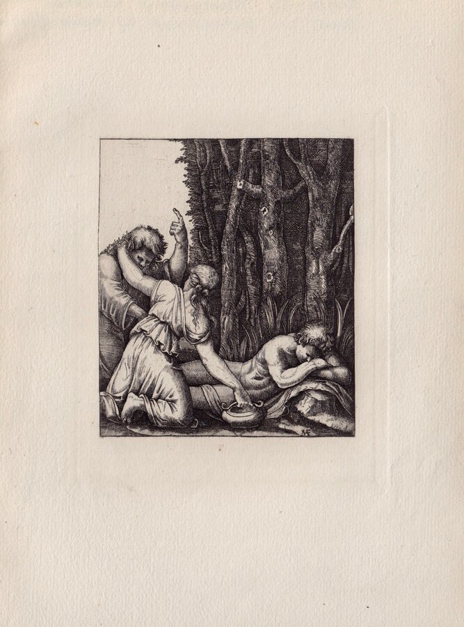 Man Sleeping near a Wood.