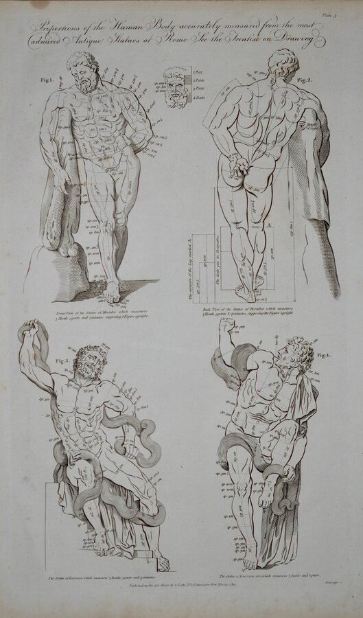 Human Body 