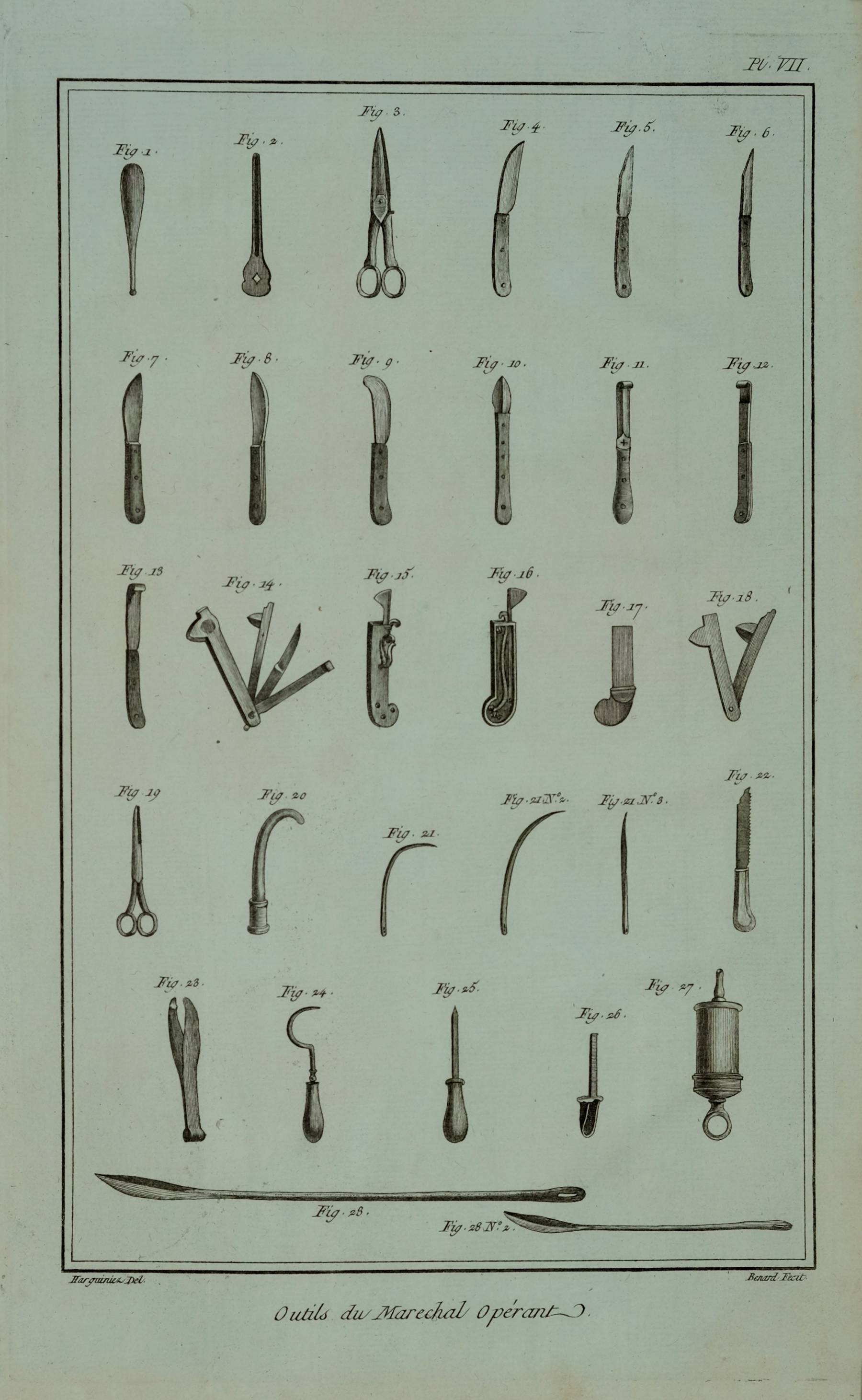 Farriery 
