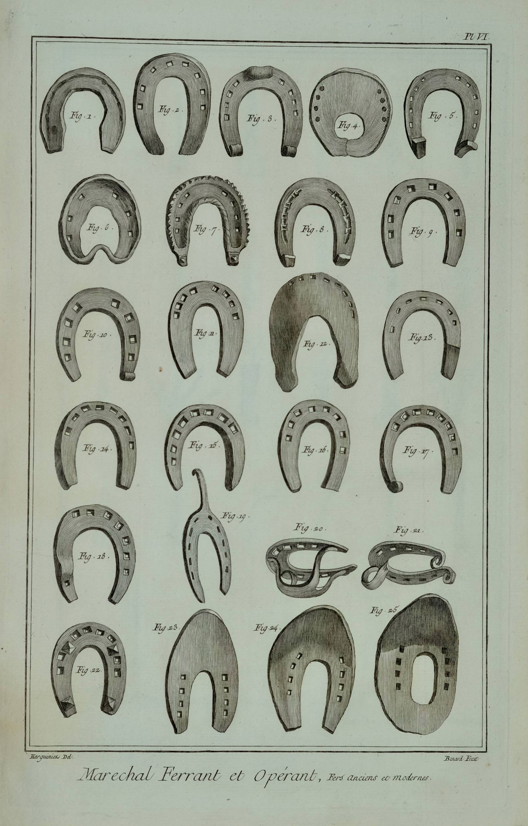 Farriery 
