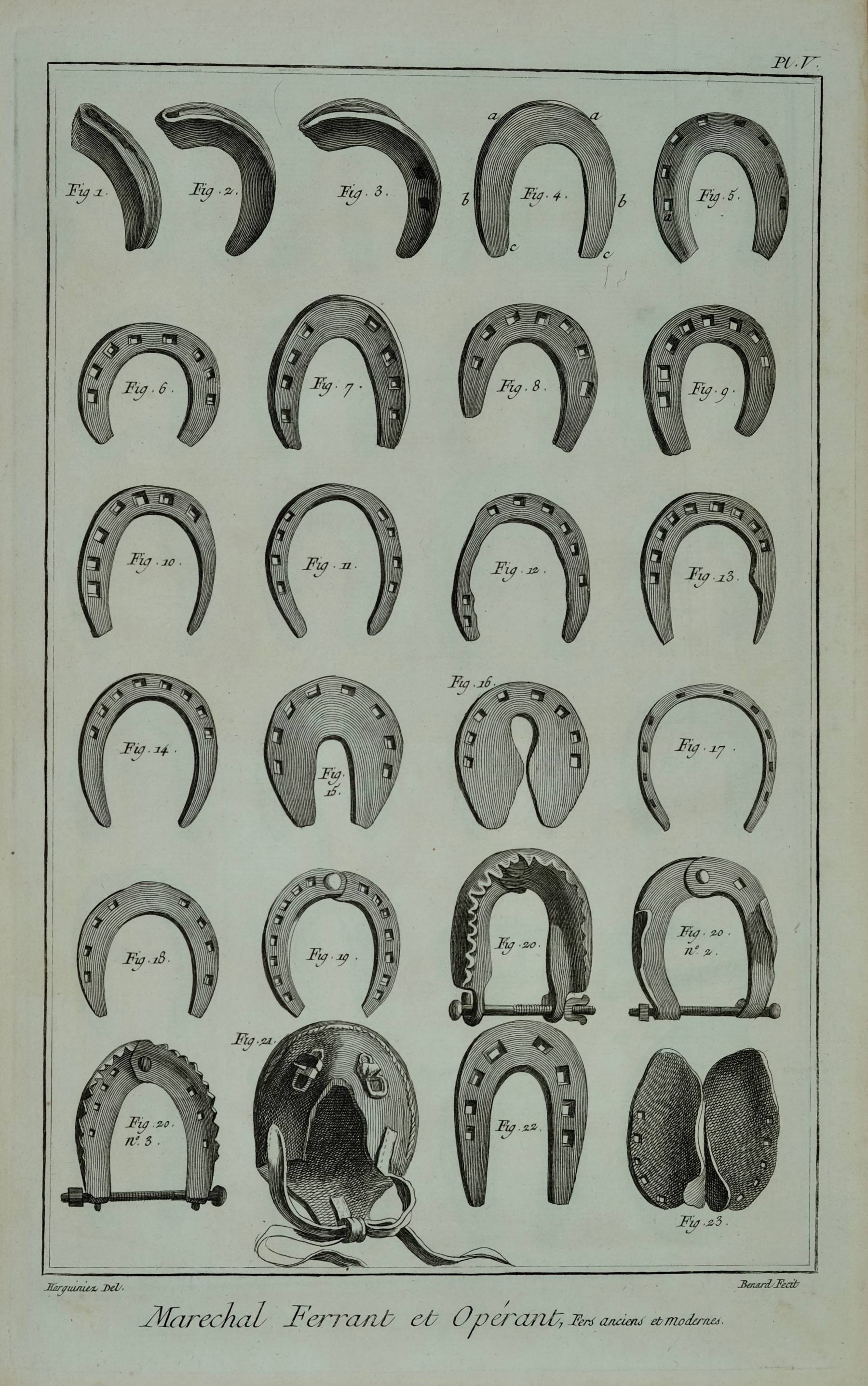 Farriery 