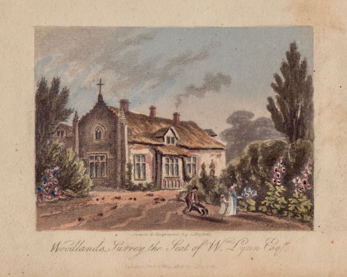 Woodlands