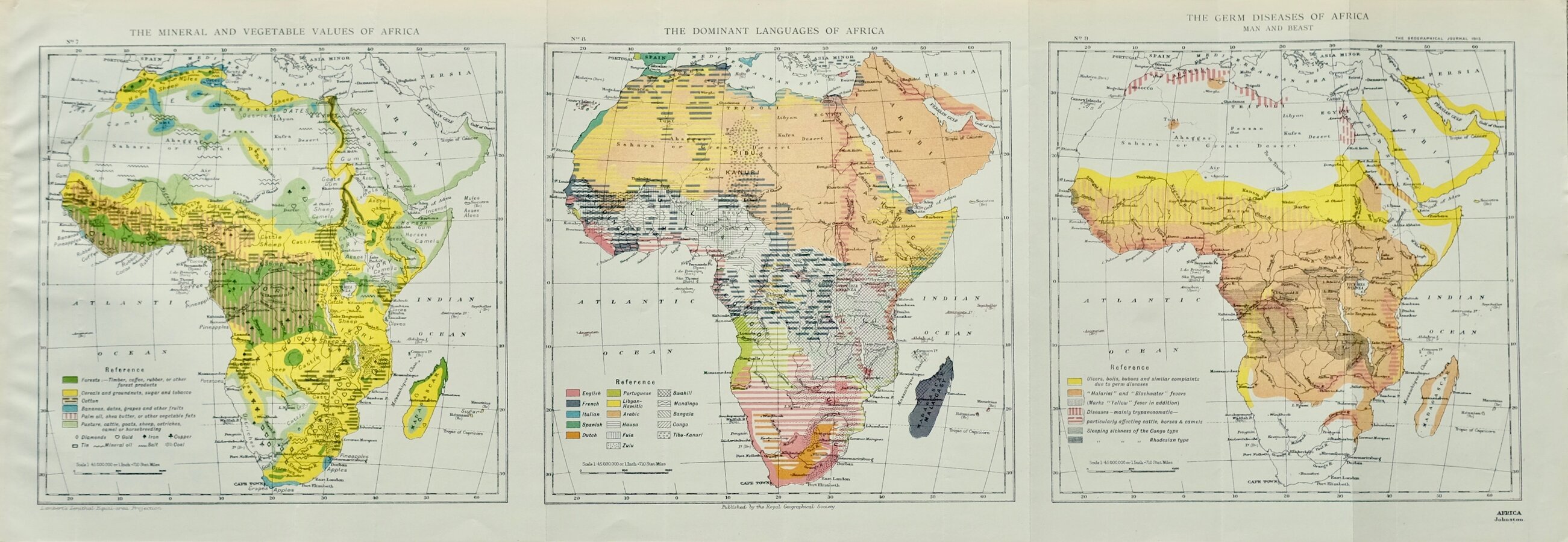 Mineral & Vegetable Languages Diseases