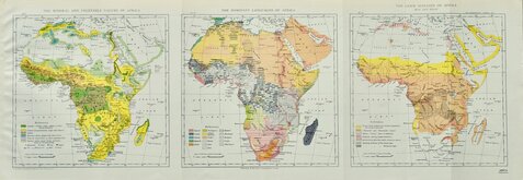 Mineral & Vegetable Languages Diseases