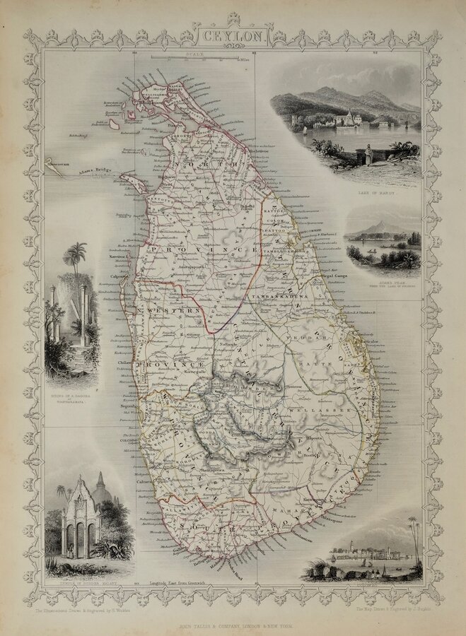 Ceylon Tallis