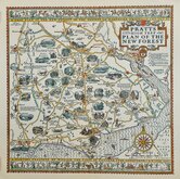 New Forest Alfred Taylor