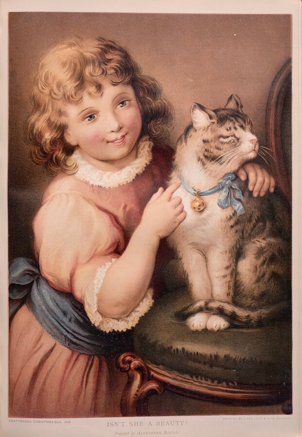 Cat and Girl