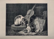 Cats and Guitar