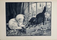 Kittens and Chess