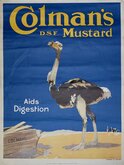 Colmans Mustard