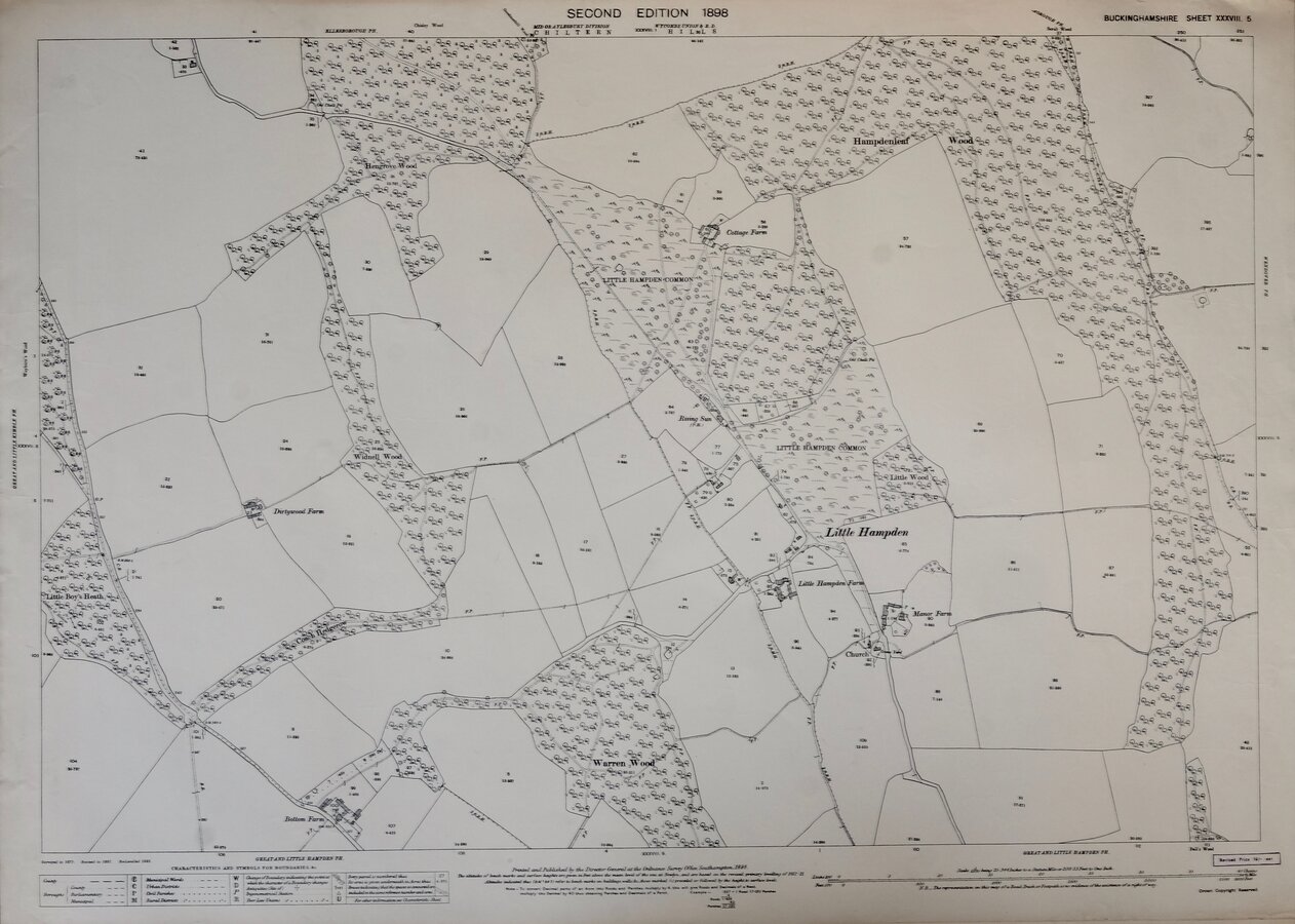 Little Hampden Bucks