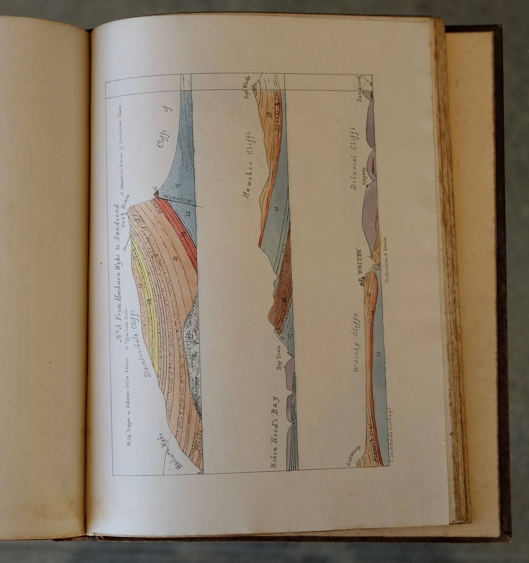 Geology of Yorkshire by John Phillips
