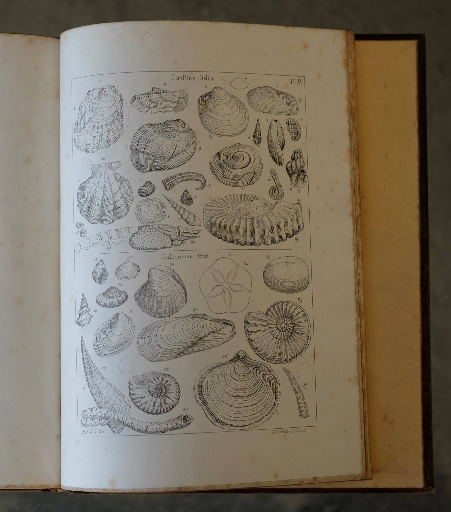 Geology of Yorkshire by John Phillips