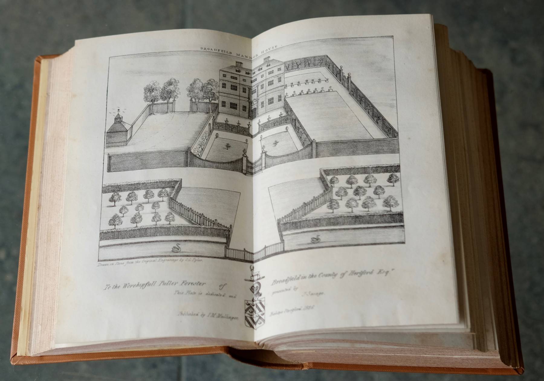 History of Hertfordshire by Chauncy