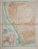 Western Cape Bartholomew